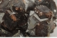 Grossular Garnet (Var. Hessonite)