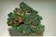 Pyromorphite on Malachite