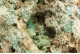 Aurichalcite & Hemimorphite