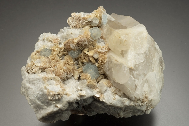 Fluorapatite & Muscovite 