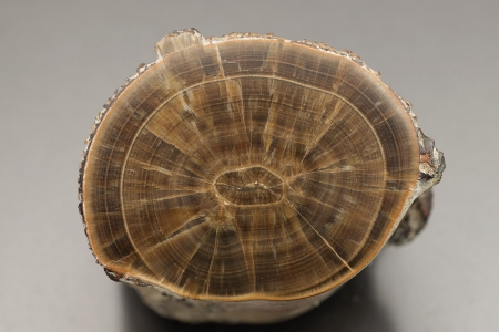 Barite - 'Derbyshire Oakstone'