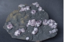 Fluorite on Siderite