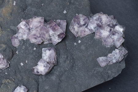 Fluorite on Siderite