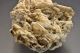 Barite and pseudomorphs after witherite