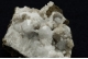 Analcime, Stilbite, Gyrolite and Chabazite