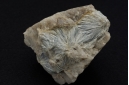 Kyanite