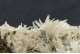 Aragonite