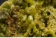 Pyromorphite