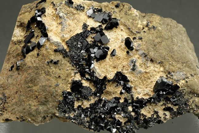 Andradite Garnet var. Melanite 