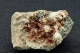 Hessonite (Var of Grossular) Garnet 