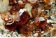 Hessonite (Var of Grossular) Garnet 