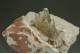 Barite pseudomorph after Alstonite