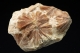 Selenite `Daisy bed Gypsum`