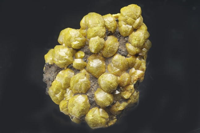 Mimetite Var. Campylite