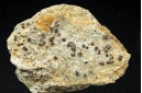 Almandine Garnet