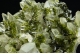 Epidote on Quartz