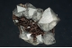 Quartz on Specularite (Var.of Hematite)