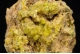 Pyromorphite