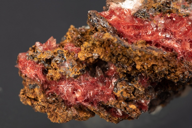 Chalcotrichite (var. of Cuprite)