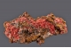 Chalcotrichite (var. of Cuprite)