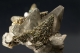 Calcite with Pyrite