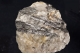 Wolframite & Scheelite