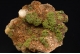 Pyromorphite