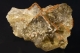 Fluorite, Quartz and Siderite