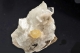 Powellite on Apophyllite