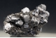 Galena and Sphalerite