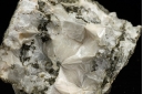 Pectolite