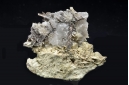 Allargentum, Dyscrasite & Actinolite