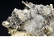 Allargentum, Dyscrasite & Actinolite