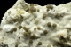 Gyrolite on Quartz