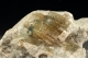 Barite