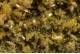 Mimetite