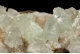 Apophyllite