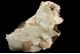 Apophyllite