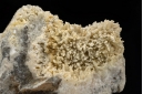 Barytocalcite