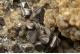 Cassiterite, Fluorapatite & Gilbertite
