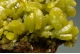 Pyromorphite