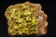 Pyromorphite