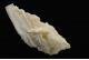 Hamburgite 
