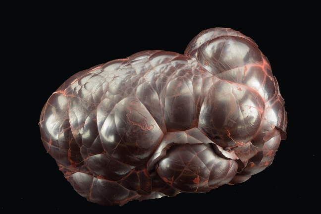 Hematite 'Kidney-ore' Hematite 'Kidney-ore'