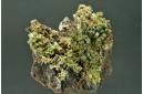 Pyromorphite & Hinsdalite