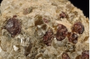 Garnet in a Mica shist