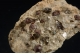 Garnet in a Mica shist