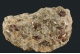 Garnet in a Mica shist