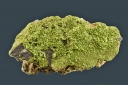 Pyromorphite