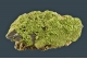 Pyromorphite